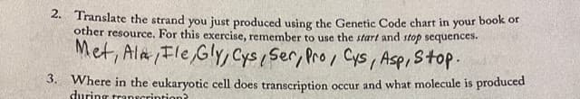 2. Translate the strand you just produced using the Genetic Code chart in your book or
other resource. For this exercise, remember to use the start and stop sequences.
Met, Ala, Fle, Gly, Cys, Ser, Pro, Cys, Asp, Stop.
3. Where in the eukaryotic cell does transcription occur and what molecule is produced
during transcription?