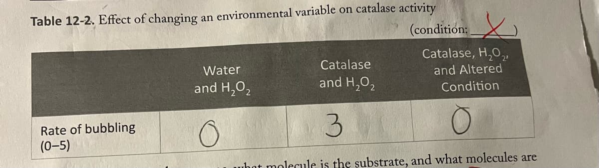 Table 12-2. Effect of changing an environmental variable on catalase activity
(condition:
Rate of bubbling
(0-5)
Catalase, H₂O₂,
and Altered
Condition
Catalase
and H₂O₂
3
what molecule is the substrate, and what molecules are
Water
and H₂O₂