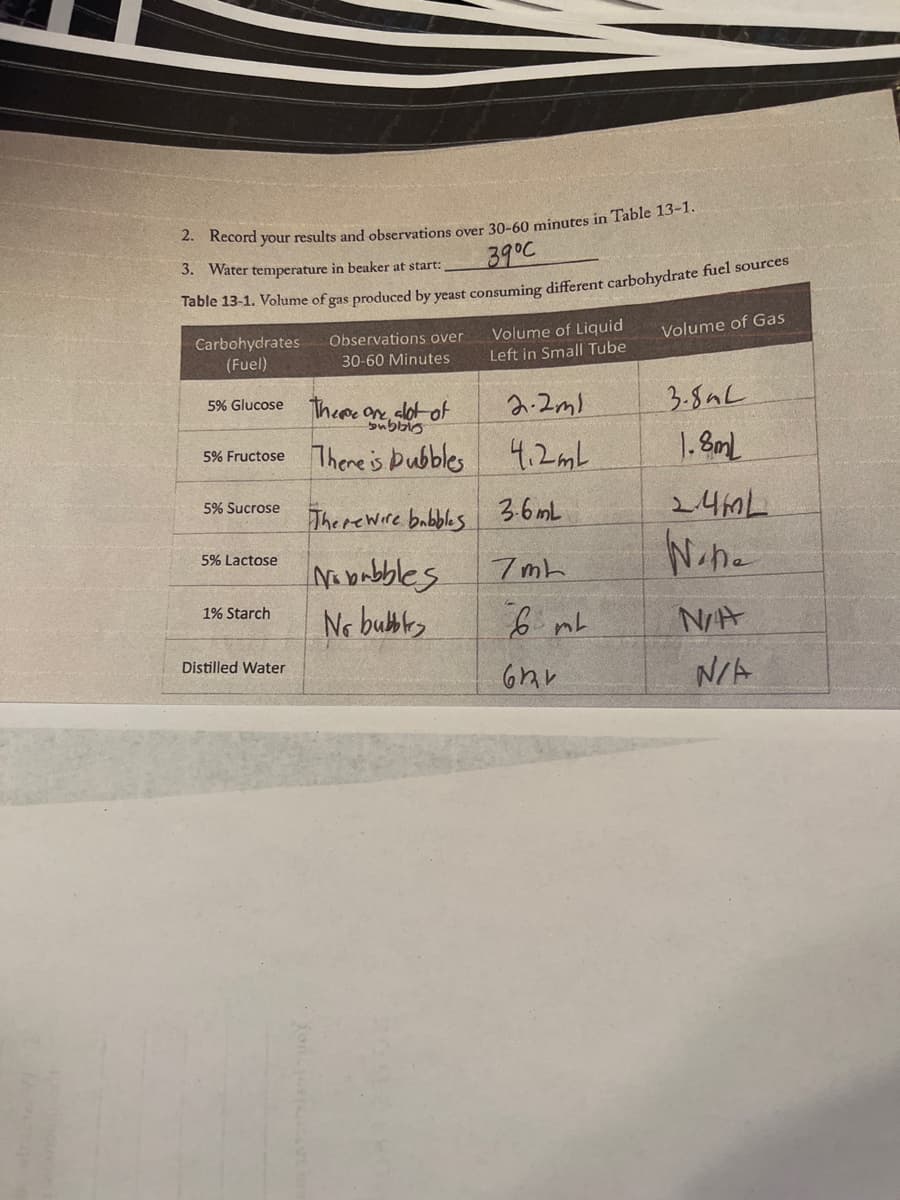 2. Record your results and observations over 30-60 minutes in Table 13-1.
3. Water temperature in beaker at start:
здос
Table 13-1. Volume of gas produced by yeast consuming different carbohydrate fuel sources
Carbohydrates
(Fuel)
5% Glucose
There are alot of
bubble
5% Fructose There is bubbles
5% Sucrose
5% Lactose
1% Starch
Observations over
30-60 Minutes
Distilled Water
Volume of Liquid
Left in Small Tube
2.2m1
4,2mL
There were babbles 3.6mL
Nobubbles
No bubbl
7mL
6 mt
621
Volume of Gas
3.8mL
1.8mL
24mL
Wine
N/A
N/A