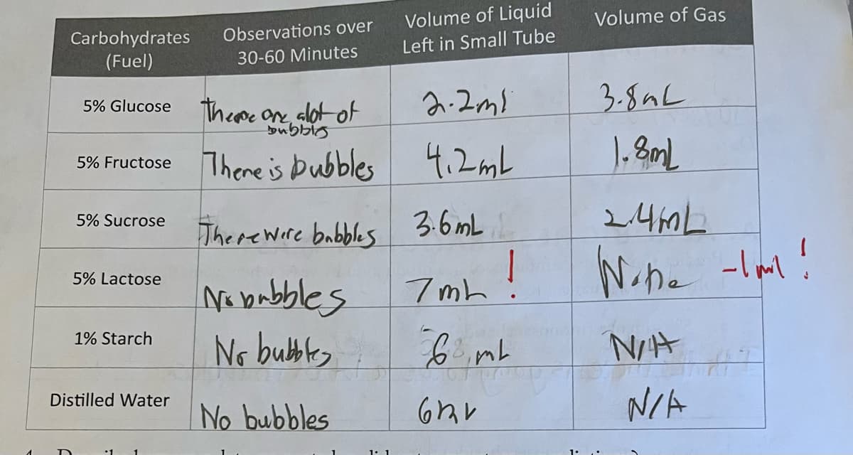 Carbohydrates Observations over
(Fuel)
30-60 Minutes
5% Glucose
5% Sucrose
5% Fructose There is bubbles
There were babbles
Nobubbles
No bubble
No bubbles
5% Lactose
1% Starch
Distilled Water
There are alot of
Bubble
2.2m1
There is pubbles 4,2mL
3.6mL
7mL
Volume of Liquid
Left in Small Tube
!
віть
611
Volume of Gas
3.8mL
1.8mL
2.4mL
Wine -Im!
N/A
N/A