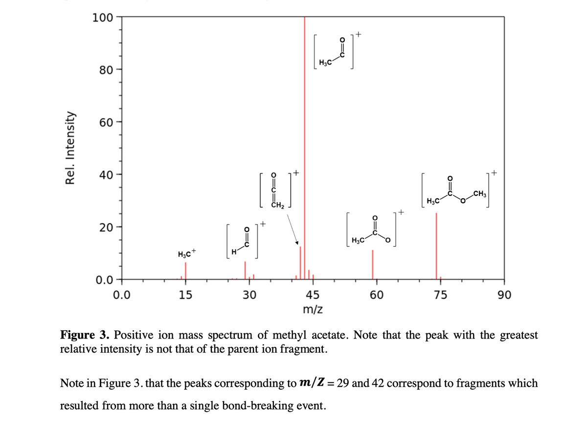 100
+
H3C
80
60
[LJ
40
+
CH3
H3C
+
20
H3C
H;c+
0.0+
0.0
15
30
45
60
75
90
m/z
Figure 3. Positive ion mass spectrum of methyl acetate. Note that the peak with the greatest
relative intensity is not that of the parent ion fragment.
Note in Figure 3. that the peaks corresponding to m/Z = 29 and 42 correspond to fragments which
resulted from more than a single bond-breaking event.
Rel. Intensity
o=U

