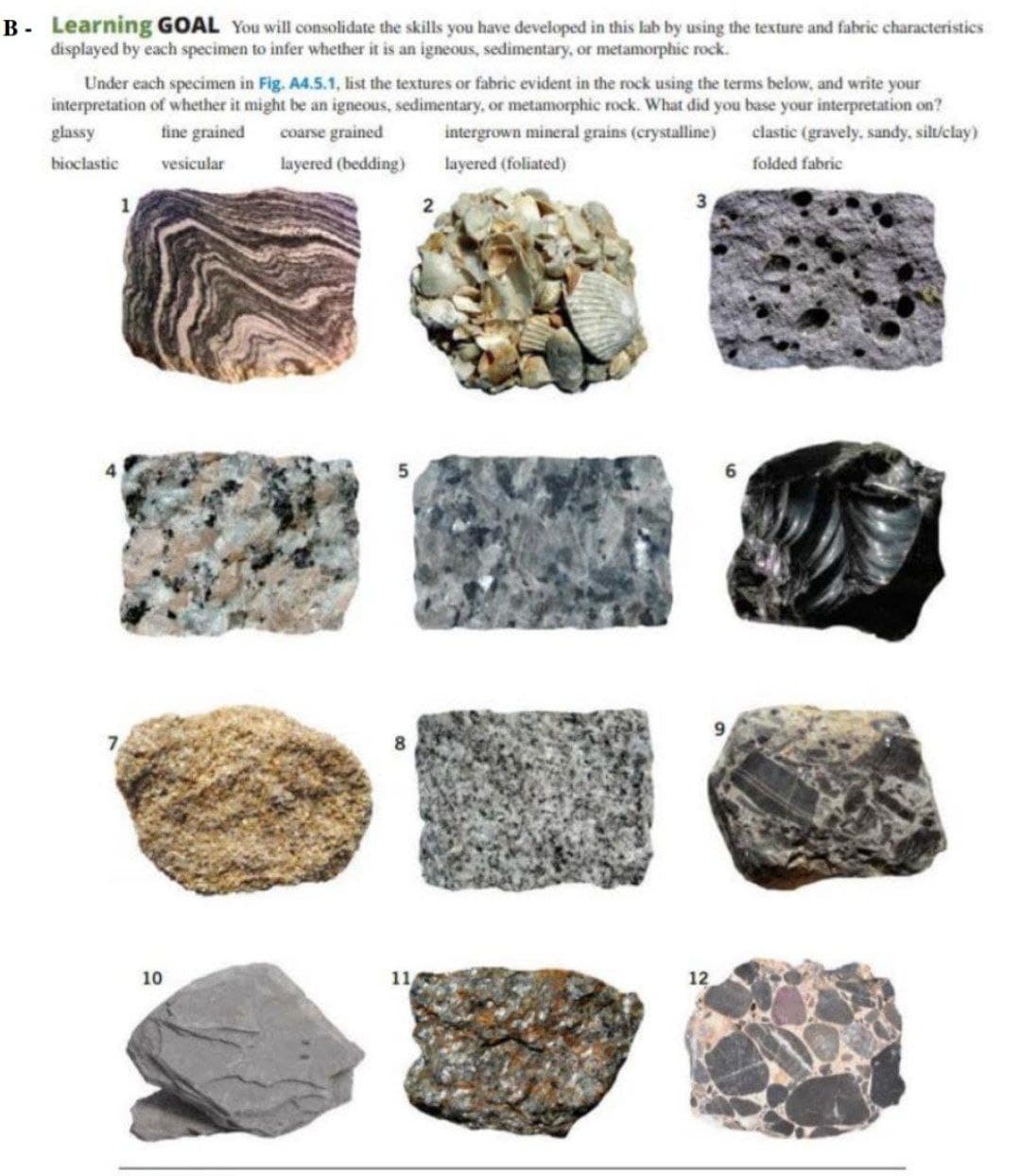 B - Learning GOAL You will consolidate the skills you have developed in this lab by using the texture and fabric characteristics
displayed by each specimen to infer whether it is an igneous, sedimentary, or metamorphic rock.
Under each specimen in Fig. A4.5.1, list the textures or fabric evident in the rock using the terms below, and write your
interpretation of whether it might be an igneous, sedimentary, or metamorphic rock. What did you base your interpretation on?
glassy
fine grained
coarse grained
intergrown mineral grains (crystalline)
clastic (gravely, sandy, silt/clay)
bioclastic
vesicular
layered (bedding)
layered (foliated)
folded fabric
1
2
3
10
11
12
