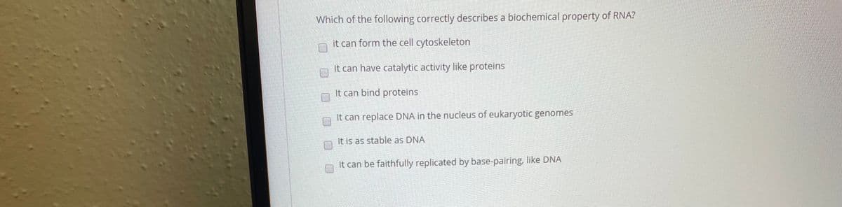 Which of the following correctly describes a biochemical property of RNA?
it can form the cell cytoskeleton
It can have catalytic activity like proteins
It can bind proteins
It can replace DNA in the nucleus of eukaryotic genomes
It is as stable as DNA
It can be faithfully replicated by base-pairing, like DNA
