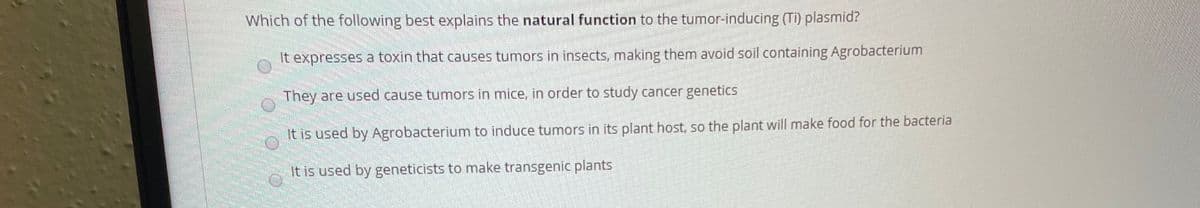 Which of the following best explains the natural function to the tumor-inducing (Ti) plasmid?
It expresses a toxin that causes tumors in insects, making them avoid soil containing Agrobacterium
They are used cause tumors in mice, in order to study cancer genetics
It is used by Agrobacterium to induce tumors in its plant host, so the plant will make food for the bacteria
It is used by geneticists to make transgenic plants
