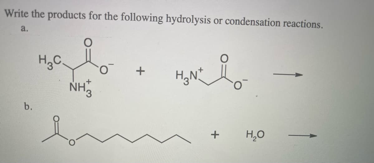 Write the products for the following hydrolysis or condensation reactions.
a.
HgC.
NH
b.
H,0
