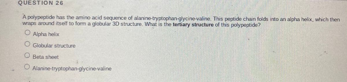 QUESTION 26
A polypeptide has the amino acid sequence of alanine-tryptophan-glycine-valine. This peptide chain folds into an alpha helix, which then
wraps around itself to form a globular 3D structure. What is the tertiary structure of this polypeptide?
Alpha helix
O Globular structure
O Beta sheet
Alanine-tryptophan-glycine-valine
