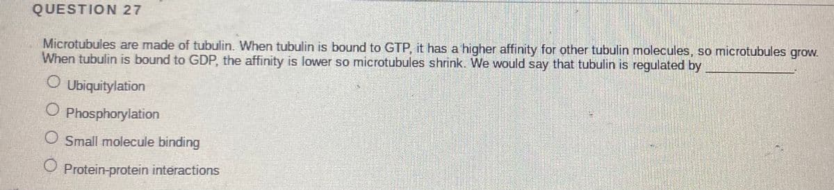 QUESTION 27
Microtubules are made of tubulin. When tubulin is bound to GTP, it has a higher affinity for other tubulin molecules, so microtubules grow.
When tubulin is bound to GDP, the affinity is lower so microtubules shrink. We would say that tubulin is regulated by
O Ubiquitylation
O Phosphorylation
O Small molecule binding
O Protein-protein interactions
