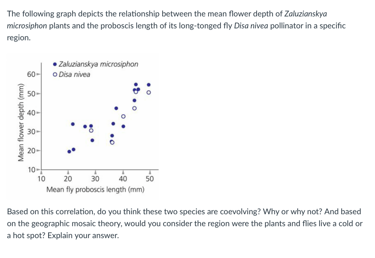 The following graph depicts the relationship between the mean flower depth of Zaluzianskya
microsiphon plants and the proboscis length of its long-tonged fly Disa nivea pollinator in a specific
region.
Zaluzianskya microsiphon
O Disa nivea
60-
50
40-
30
20-
10
10
20
30
40
50
Mean fly proboscis length (mm)
Based on this correlation, do you think these two species are coevolving? Why or why not? And based
on the geographic mosaic theory, would you consider the region were the plants and flies live a cold or
a hot spot? Explain your answer.
Mean flower depth (mm)
