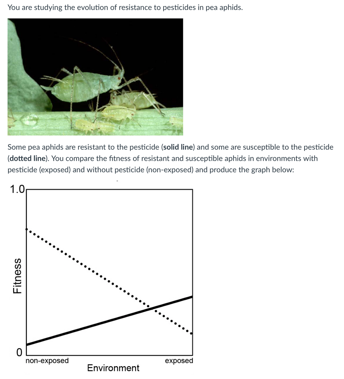 You are studying the evolution of resistance to pesticides in pea aphids.
Some pea aphids are resistant to the pesticide (solid line) and some are susceptible to the pesticide
(dotted line). You compare the fitness of resistant and susceptible aphids in environments with
pesticide (exposed) and without pesticide (non-exposed) and produce the graph below:
1.0
non-exposed
exposed
Environment
Fitness
