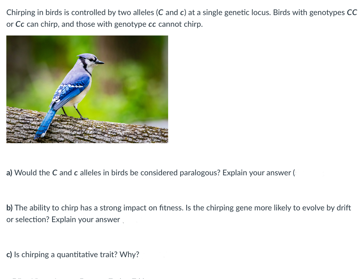 Chirping in birds is controlled by two alleles (C and c) at a single genetic locus. Birds with genotypes CC
or Cc can chirp, and those with genotype cc cannot chirp.
a) Would the C and c alleles in birds be considered paralogous? Explain your answer (
b) The ability to chirp has a strong impact on fitness. Is the chirping gene more likely to evolve by drift
or selection? Explain your answer
c) Is chirping a quantitative trait? Why?
