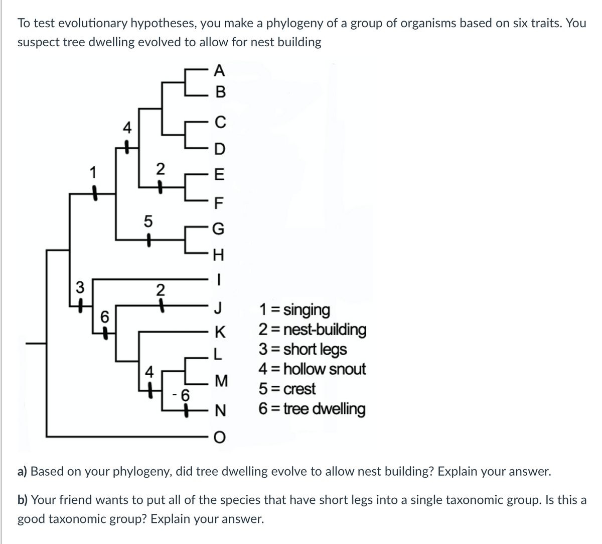 To test evolutionary hypotheses, you make a phylogeny of a group of organisms based on six traits. You
suspect tree dwelling evolved to allow for nest building
A
В
4
C
1
2
E
F
5
3
2
1= singing
2= nest-building
3= short legs
J
K
4
4 = hollow snout
M
5= crest
9-
N
6=tree dwelling
a) Based on your phylogeny, did tree dwelling evolve to allow nest building? Explain your answer.
b) Your friend wants to put all of the species that have short legs into a single taxonomic group. Is this a
good taxonomic group? Explain your answer.
CO

