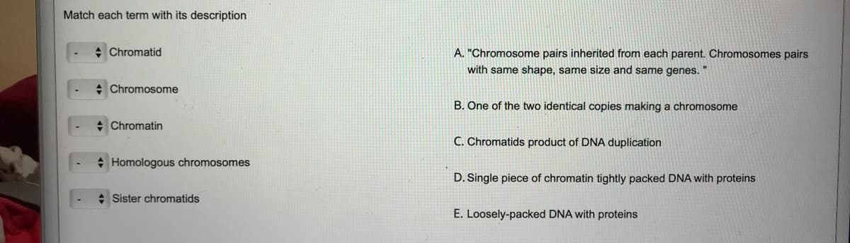 Match each term with its description
Chromatid
Chromosome
+ Chromatin
Homologous chromosomes
Sister chromatids
A. "Chromosome pairs inherited from each parent. Chromosomes pairs
with same shape, same size and same genes. "
B. One of the two identical copies making a chromosome
C. Chromatids product of DNA duplication
D. Single piece of chromatin tightly packed DNA with proteins
E. Loosely-packed DNA with proteins