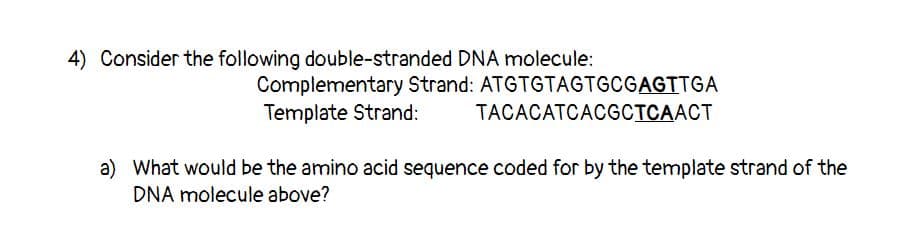 4) Consider the following double-stranded DNA molecule:
Complementary Strand: ATGTGTAGTGCGAGTTGA
Template Strand:
TACACATCACGCTCAACT
a) What would be the amino acid sequence coded for by the template strand of the
DNA molecule above?
