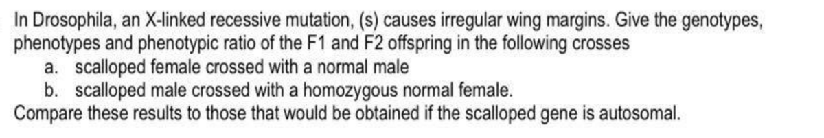 In Drosophila, an X-linked recessive mutation, (s) causes irregular wing margins. Give the genotypes,
phenotypes and phenotypic ratio of the F1 and F2 offspring in the following crosses
a. scalloped female crossed with a normal male
b. scalloped male crossed with a homozygous normal female.
Compare these results to those that would be obtained if the scalloped gene is autosomal.
