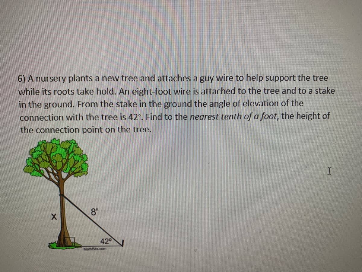 6) A nursery plants a new tree and attaches a guy wire to help support the tree
while its roots take hold. An eight-foot wire is attached to the tree and to a stake
in the ground. From the stake in the ground the angle of elevation of the
connection with the tree is 42". Find to the nearest tenth of a foot, the height of
the connection point on the tree.
8'
42°
MathBits.com
