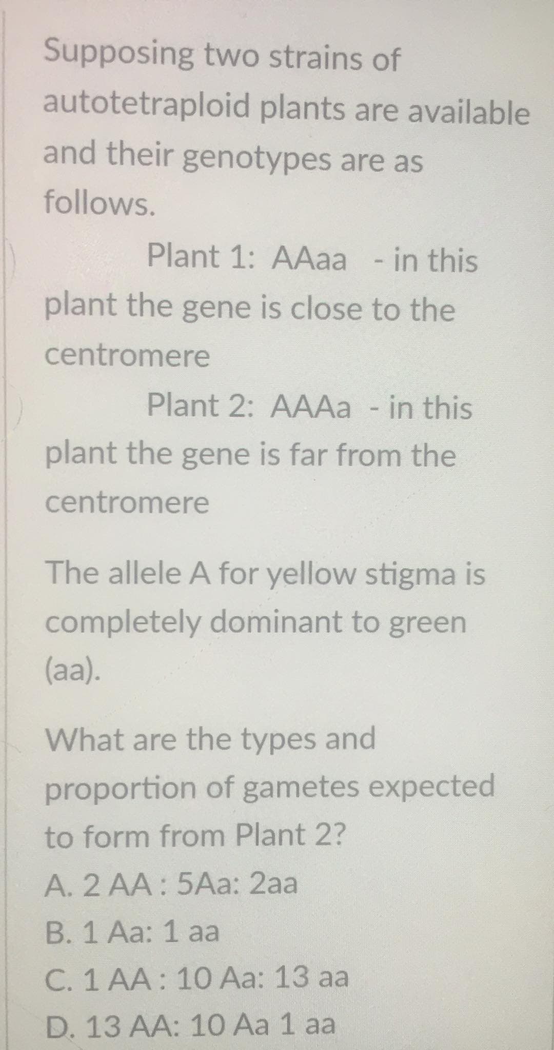 Supposing two strains of
autotetraploid plants are available
and their genotypes are as
follows.
Plant 1: AAaa - in this
plant the gene is close to the
centromere
Plant 2: AAAa - in this
plant the gene is far from the
centromere
The allele A for yellow stigma
completely dominant to green
(aa).
What are the types and
proportion of gametes expected
to form from Plant 2?
A. 2 AA: 5Aa: 2aa
B. 1 Aa: 1 aa
C. 1 AA: 10 Aa: 13 aa
D. 13 AA: 10 Aa 1 aa