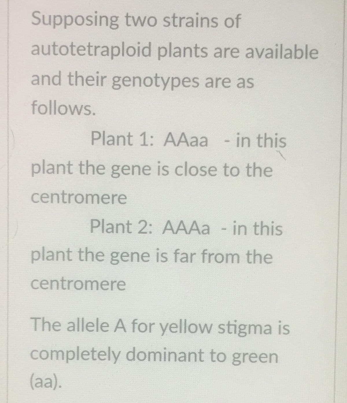 Supposing two strains of
autotetraploid plants are available
and their genotypes are as
follows.
Plant 1: AAaa - in this
plant the gene is close to the
centromere
Plant 2: AAAa - in this
plant the gene is far from the
centromere
The allele A for yellow stigma is
completely dominant to green
(aa).
