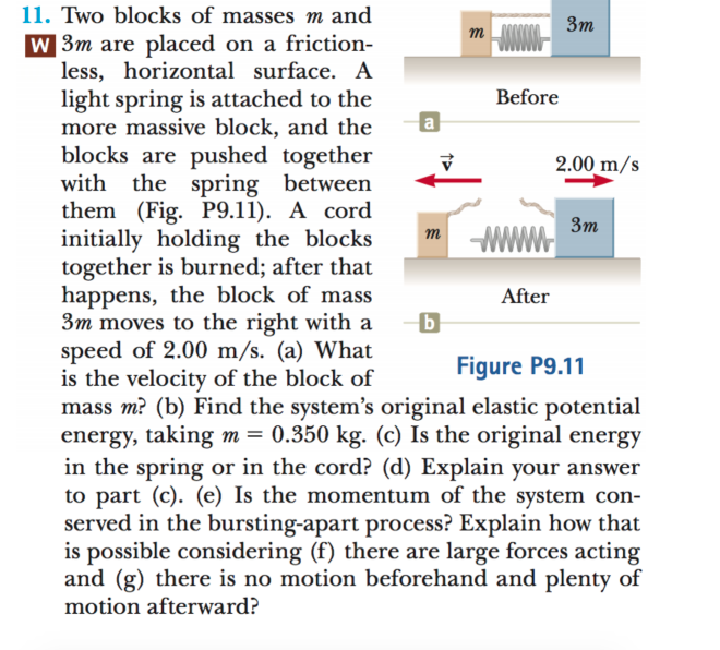 11. Two blocks of masses m and
Зт
т
w 3m are placed on a friction-
less, horizontal surface. A
light spring is attached to the
more massive block, and the
blocks are pushed together
with the spring between
them (Fig. P9.11). A cord
initially holding the blocks
together is burned; after that
happens, the block of mass
3m moves to the right with a
speed of 2.00 m/s. (a) What
is the velocity of the block of
mass m? (b) Find the system's original elastic potential
energy, taking m= 0.350 kg. (c) Is the original energy
in the spring or in the cord? (d) Explain your answer
to part (c). (e) Is the momentum of the system con-
served in the bursting-apart process? Explain how that
is possible considering (f) there are large forces acting
and (g) there is no motion beforehand and plenty of
Before
2.00 m/s
Зт
WWW
т
After
Figure P9.11
motion afterward?
