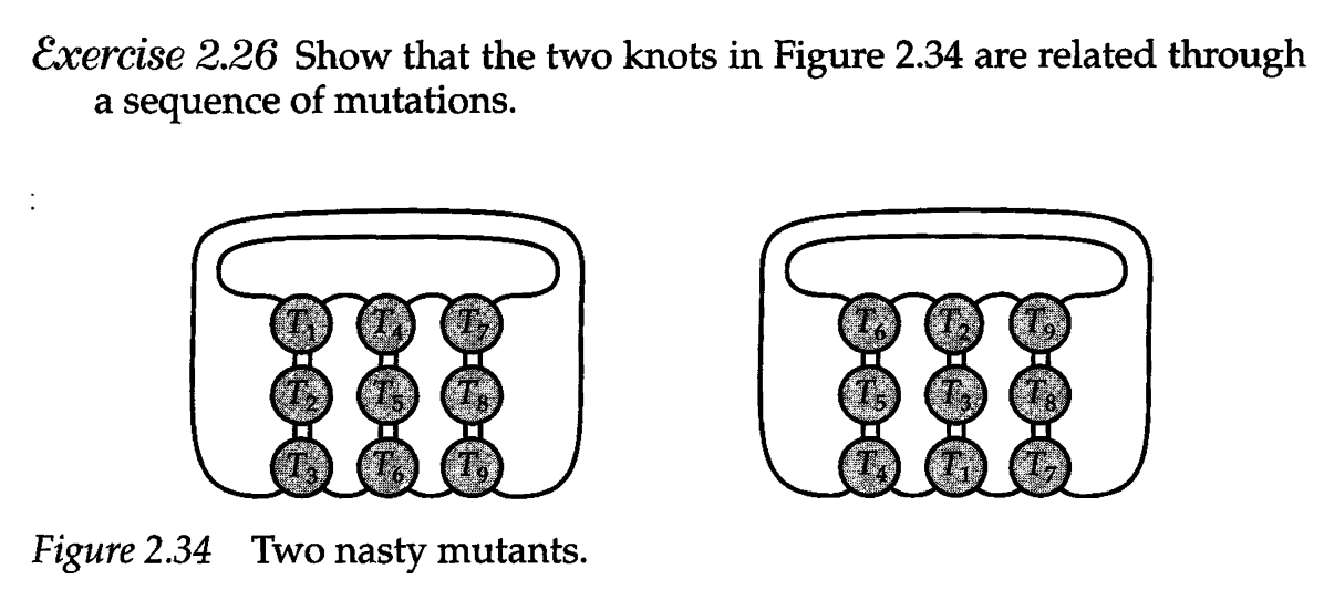 Exercise 2.26 Show that the two knots in Figure 2.34 are related through
a sequence of mutations.
:
Figure 2.34 Two nasty mutants.
