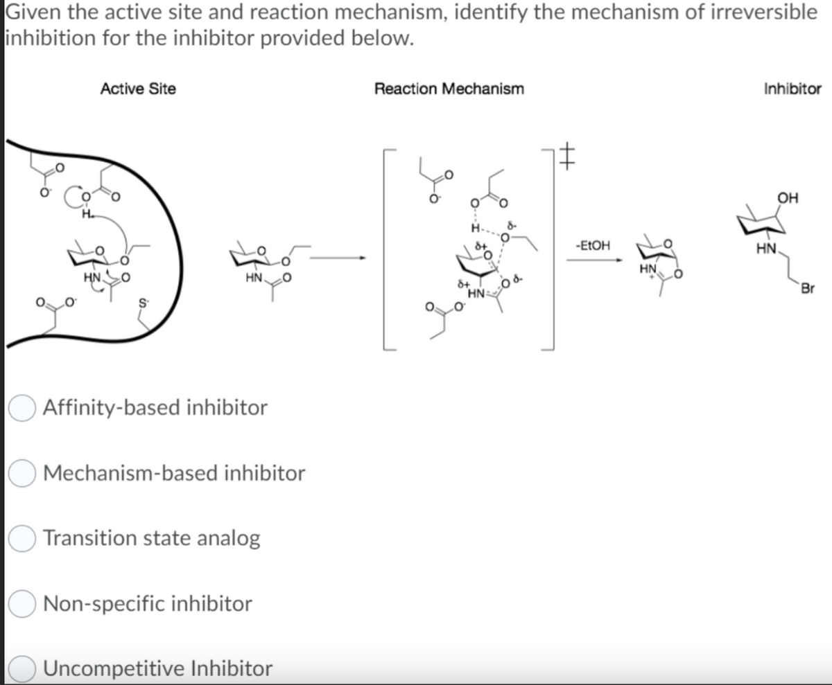 Given the active site and reaction mechanism, identify the mechanism of irreversible
inhibition for the inhibitor provided below.
до
Active Site
HN.
Affinity-based inhibitor
Mechanism-based inhibitor
Transition state analog
Non-specific inhibitor
Uncompetitive Inhibitor
Reaction Mechanism
8+
HN=
.00
-EtOH
HN
Inhibitor
OH
HN.
Br