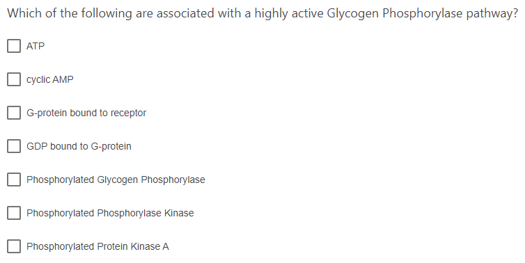 Which of the following are associated with a highly active Glycogen Phosphorylase pathway?
ATP
cyclic AMP
G-protein bound to receptor
GDP bound to G-protein
Phosphorylated Glycogen Phosphorylase
Phosphorylated Phosphorylase Kinase
Phosphorylated Protein Kinase A
