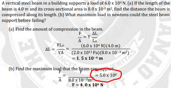 A vertical steel beam in a building supports a load of 6.0 x 104 N. (a) If the length of the
beam is 4.0 m and its cross-sectional area is 8.0 x 10-3 m², find the distance the beam is
compressed along its length. (b) What maximum load in newtons could the steel beam
support before failing?
(a) Find the amount of compression in the beam.
ΔL
==Y
A
F
Lo
FLo
AL =
YA
(6.0 x 104 N)(4.0 m)
(2.0 x 1011 Pa)(8.0 x 10–3 m²)
= 1. 5 x 10-4 m
= 5.0 x 108
8.0 x 10-3m
F = 4. 0 x 106 N
ANAO
