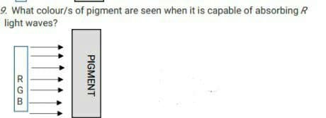 9. What colour/s of pigment are seen when it is capable of absorbing R
light waves?
PIGMENT
RGB
