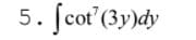 5. ſcot (3y)dy
