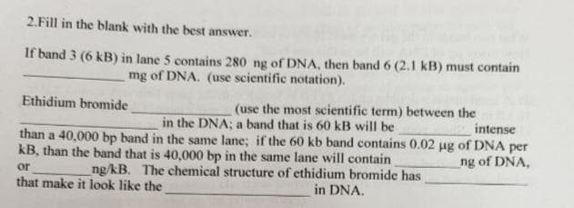 2.Fill in the blank with the best answer.
If band 3 (6 kB) in lane 5 contains 280 ng of DNA, then band 6 (2.1 kB) must contain
mg of DNA. (use scientific notation).
Ethidium bromide
(use the most scientific term) between the
in the DNA; a band that is 60 kB will be
than a 40,000 bp band in the same lane; if the 60 kb band contains 0.02 ug of DNA per
intense
kB, than the band that is 40,000 bp in the same lane will contain
ng of DNA,
or
ng/kB. The chemical structure of ethidium bromide has
that make it look like the
in DNA.
