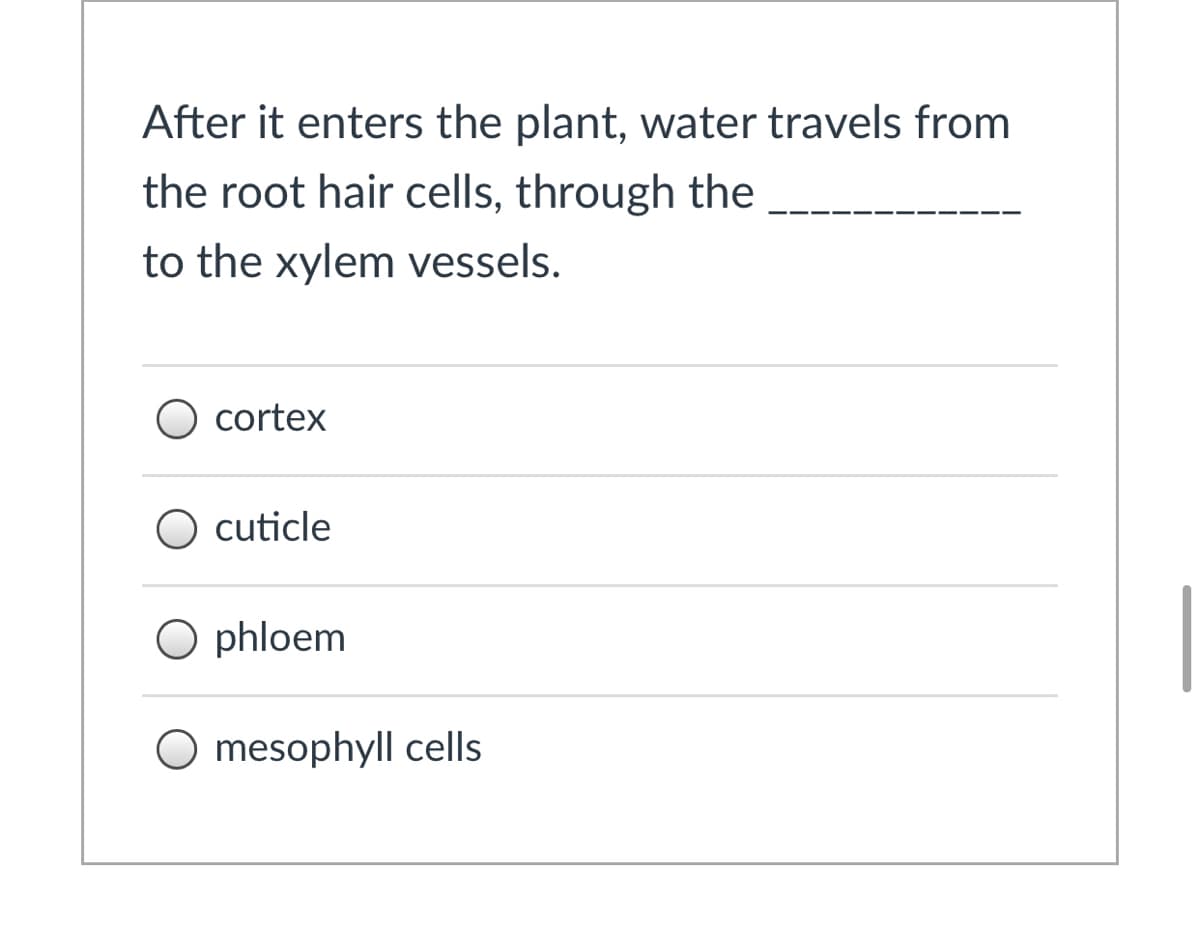 After it enters the plant, water travels from
the root hair cells, through the
to the xylem vessels.
O cortex
cuticle
O phloem
O mesophyll cells
