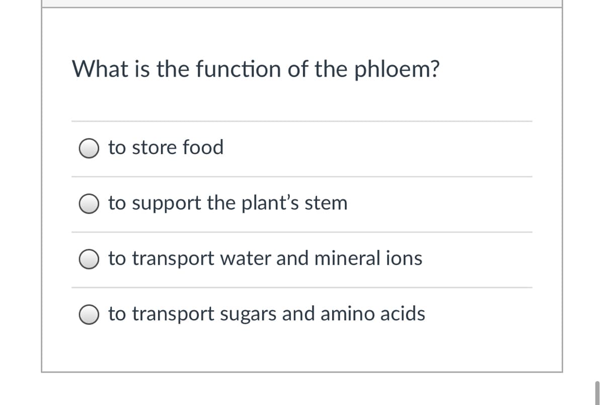 What is the function of the phloem?
to store food
to support the plant's stem
to transport water and mineral ions
to transport sugars and amino acids
