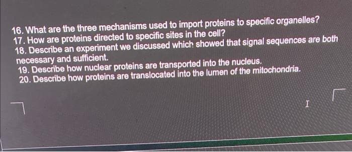 16. What are the three mechanisms used to import proteins to specific organelles?
17. How are proteins directed to specific sites in the cell?
18. Describe an experiment we discussed which showed that signal sequences are both
necessary and sufficient.
19. Describe how nuclear proteins are transported into the nucleus.
20. Describe how proteins are translocated into the lumen of the mitochondria.
I
