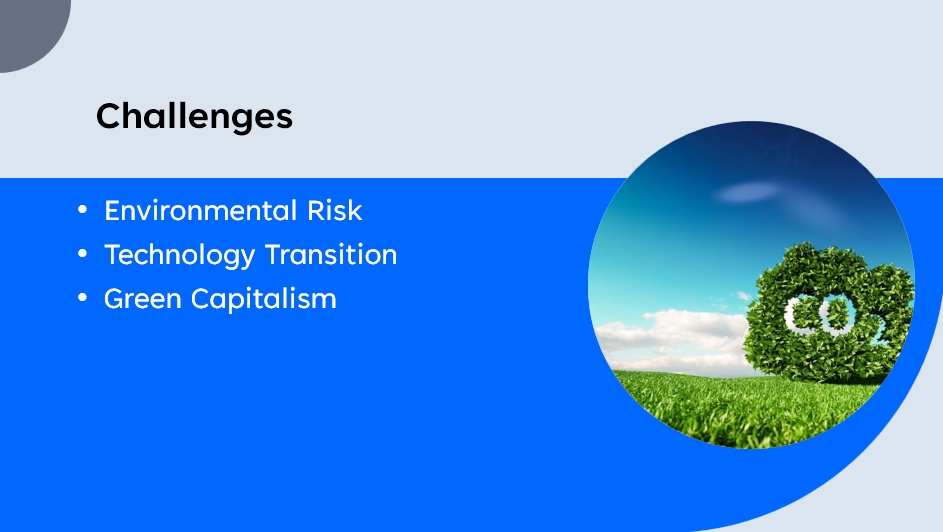 Challenges
Environmental Risk
Technology Transition
Green Capitalism