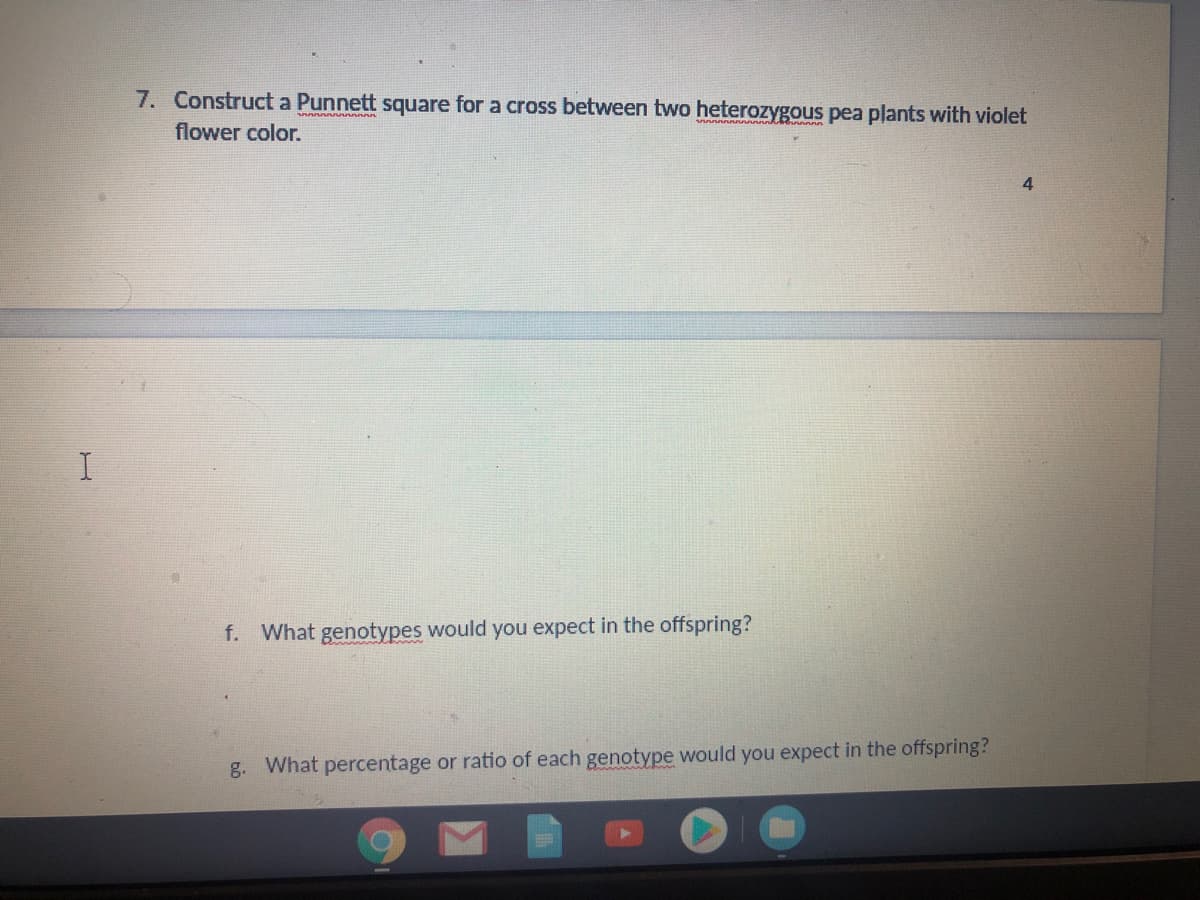 7. Construct a Punnett square for a cross between two heterozygous pea plants with violet
flower color.
4.
f. What genotypes would you expect in the offspring?
g. What percentage or ratio of each genotype would you expect in the offspring?
