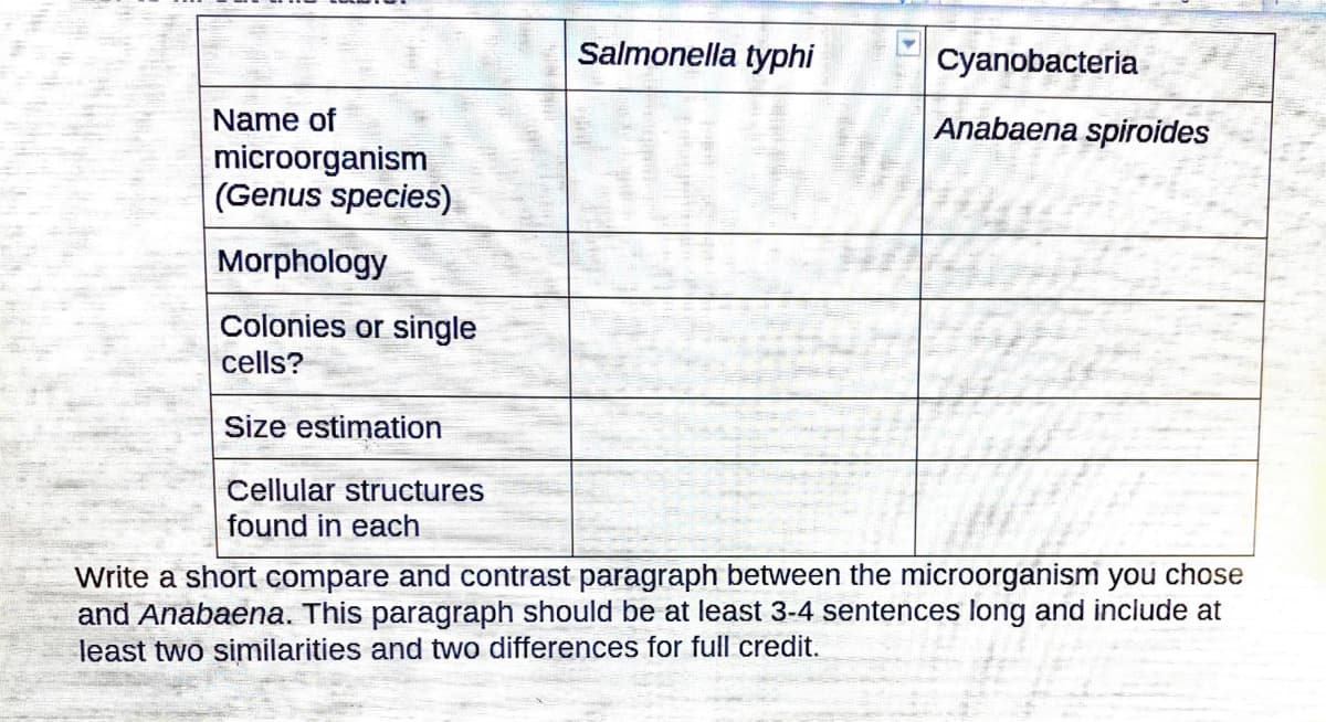 Salmonella typhi
Cyanobacteria
Name of
Anabaena spiroides
microorganism
(Genus species)
Morphology
Colonies or single
cells?
Size estimation
Cellular structures
found in each
Write a short compare and contrast paragraph between the microorganism you chose
and Anabaena. This paragraph should be at least 3-4 sentences long and include at
least two similarities and two differences for full credit.

