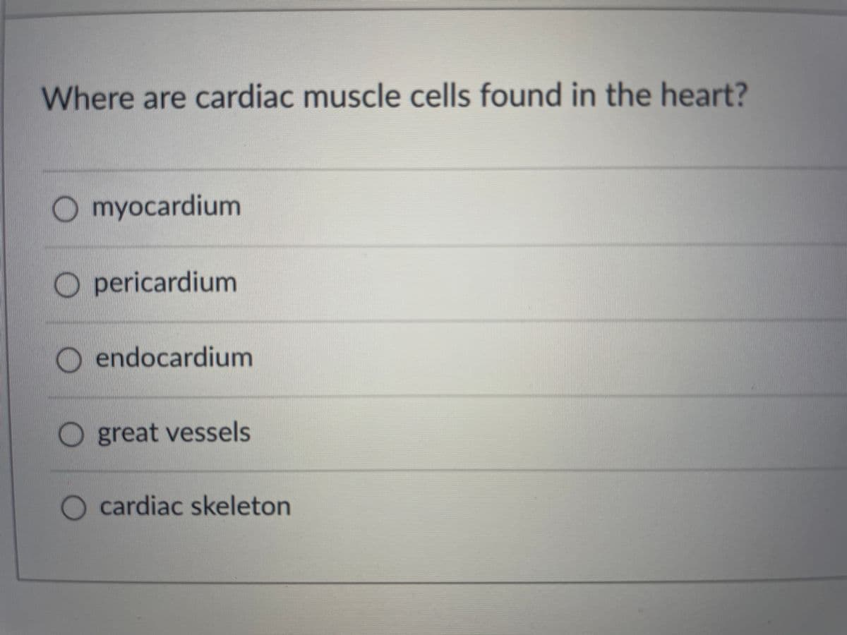 Where are cardiac muscle cells found in the heart?
O myocardium
pericardium
O endocardium
O great vessels
cardiac skeleton
