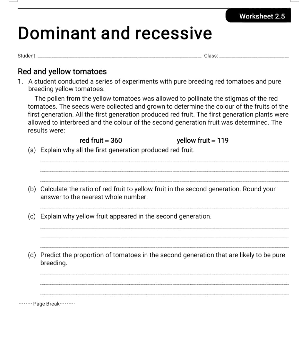 Worksheet 2.5
Dominant and recessive
Student:
Class:
Red and yellow tomatoes
1. A student conducted a series of experiments with pure breeding red tomatoes and pure
breeding yellow tomatoes.
The pollen from the yellow tomatoes was allowed to pollinate the stigmas of the red
tomatoes. The seeds were collected and grown to determine the colour of the fruits of the
first generation. All the first generation produced red fruit. The first generation plants were
allowed to interbreed and the colour of the second generation fruit was determined. The
results were:
red fruit = 360
yellow fruit = 119
(a) Explain why all the first generation produced red fruit.
(b) Calculate the ratio of red fruit to yellow fruit in the second generation. Round your
answer to the nearest whole number.
(c) Explain why yellow fruit appeared in the second generation.
(d) Predict the proportion of tomatoes in the second generation that are likely to be pure
breeding.
Page Break
