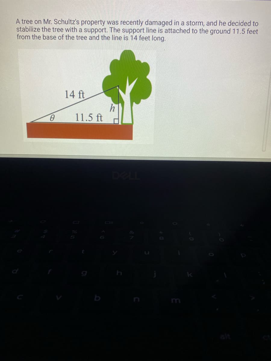 A tree on Mr. Schultz's property was recently damaged in a storm, and he decided to
stabilize the tree with a support. The support line is attached to the ground 11.5 feet
from the base of the tree and the line is 14 feet long.
0
14 ft
11.5 ft
8
i
