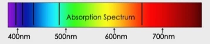Absorption Spectrum
400nm
500nm
600nm
700nm
