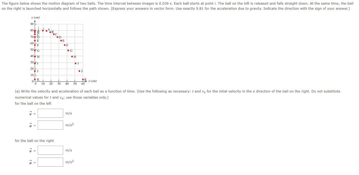 The figure below shows the motion diagram of two balls. The time interval between images is 0.036 s. Each ball starts at point i. The ball on the left is released and falls straight down. At the same time, the ball
on the right is launched horizontally and follows the path shown. (Express your answers in vector form. Use exactly 9.81 for the acceleration due to gravity. Indicate the direction with the sign of your answer.)
y (cm)
90
80
B
70D
•D
E
60
•F
50FG
40H
301
20
•J
10
K
K
50
x (cm)
10
20
30
40
60
(a) Write the velocity and acceleration of each ball as a function of time. (Use the following as necessary: t and vy for the intial velocity in the x direction of the ball on the right. Do not substitute
numerical values for t and vx; use those variables only.)
for the ball on the left
v =
m/s
a =
m/s2
for the ball on the right
v =
m/s
a =
m/s2
