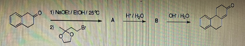 1) NaOEt/EtOH/ 25°C
2)
Br
A
H/H₂O
B
OH/H₂O
2