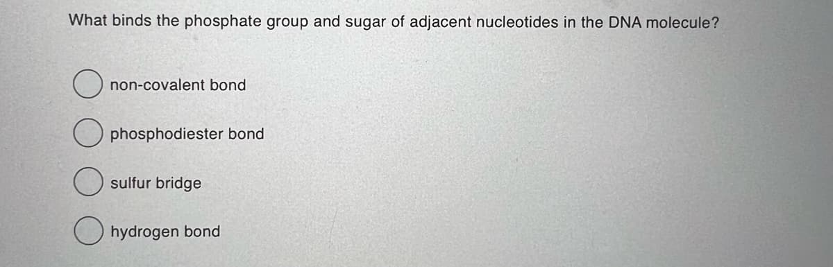 What binds the phosphate group and sugar of adjacent nucleotides in the DNA molecule?
non-covalent bond
phosphodiester bond
sulfur bridge
hydrogen bond