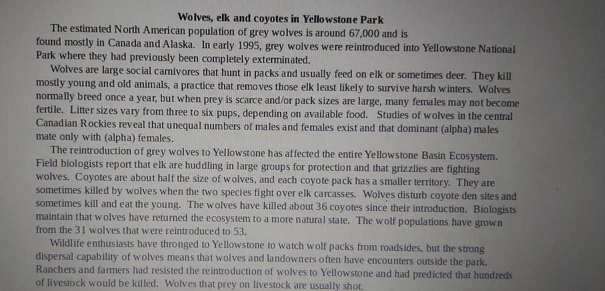 Wolves, elk and coyotes in Yellowstone Park
The estimated North American population of grey wolves is around 67,000 and is
found mostly in Canada and Alaska. In early 1995, grey wolves were reintroduced into Yellowstone National
Park where they had previously been completely exterminated.
Wolves are large social carnivores that hunt in packs and usually feed on elk or sometimes deer. They kill
mostly young and old animals, a practice that removes those elk least likely to survive harsh winters. Wolves
normally breed once a year, but when prey is scarce and/or pack sizes are large, many females may not become
fertile. Litter sizes vary from three to six pups, depending on available food. Studies of wolves in the central
Canadian Rockies reveal that unequal numbers of males and females exist and that dominant (alpha) males
mate only with (alpha) females.
The reintroduction of grey wolves to Yellowstone has affected the entire Yellowstone Basin Ecosystem.
Field biologists report that elk are huddling in large groups for protection and that grizzlies are fighting
wolves. Coyotes are about half the size of wolves, and each coyote pack has a smaller territory. They are
sometimes killed by wolves when the two species fight over elk carcasses. Wolves disturb coyote den sites and
sometimes kill and eat the young. The wolves have killed about 36 coyotes since their introduction. Biologists
maintain that wolves have returned the ecosystem to a more natural state. The wolf populations have grown
from the 31 wolves that w ere reintroduced to 53.
Wildlife enthusiasts have thronged to Yellowstone to watch wolf packs from roadsides, but the strong
dispersal capability of wolves means that wolves and landowners often have encounters outside the park.
Ranchers and farmers had resisted the reintro duction of wolves to Yellowstone and had predicted that hundreds
of livesto ck would be killed. Wolves that prey on livestock are usually shot.
