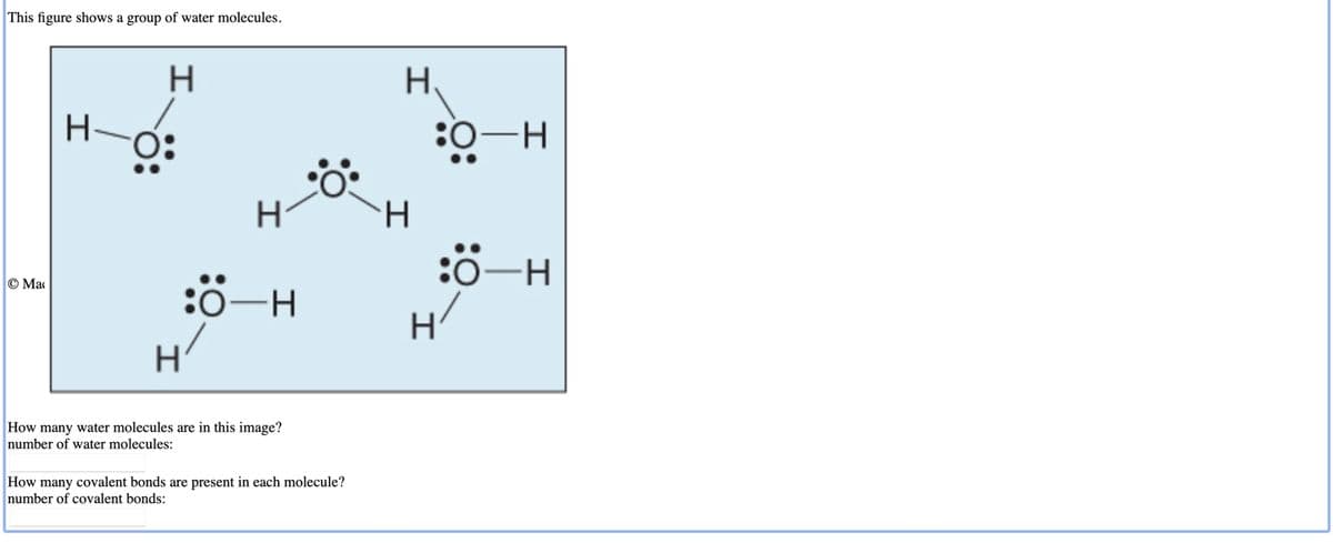 This figure shows a group of water molecules.
Ⓒ Mac
H-
H
H
:-H
How many water molecules are in this image?
number of water molecules:
How many covalent bonds are present in each molecule?
number of covalent bonds:
H
H
:0-H
:0-H
