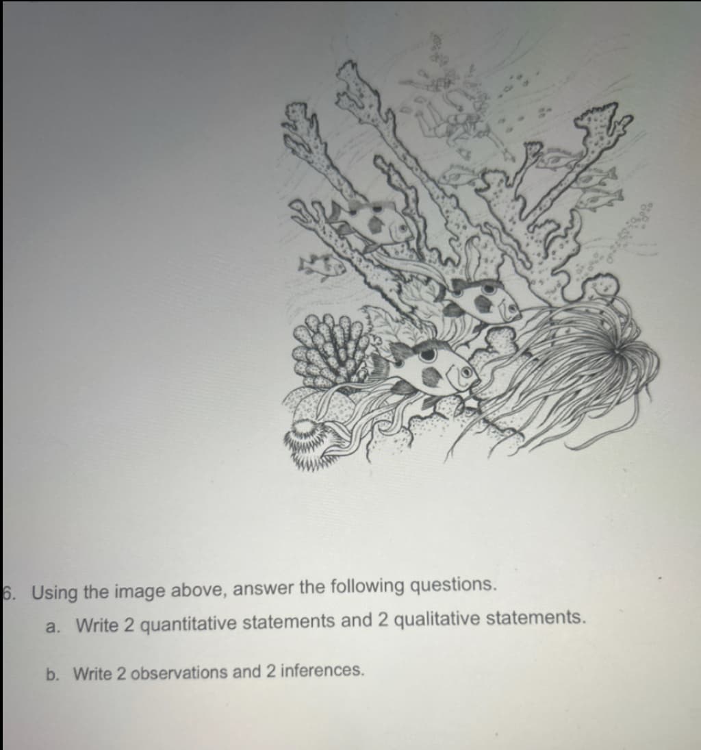 6. Using the image above, answer the following questions.
a. Write 2 quantitative statements and 2 qualitative statements.
b. Write 2 observations and 2 inferences.