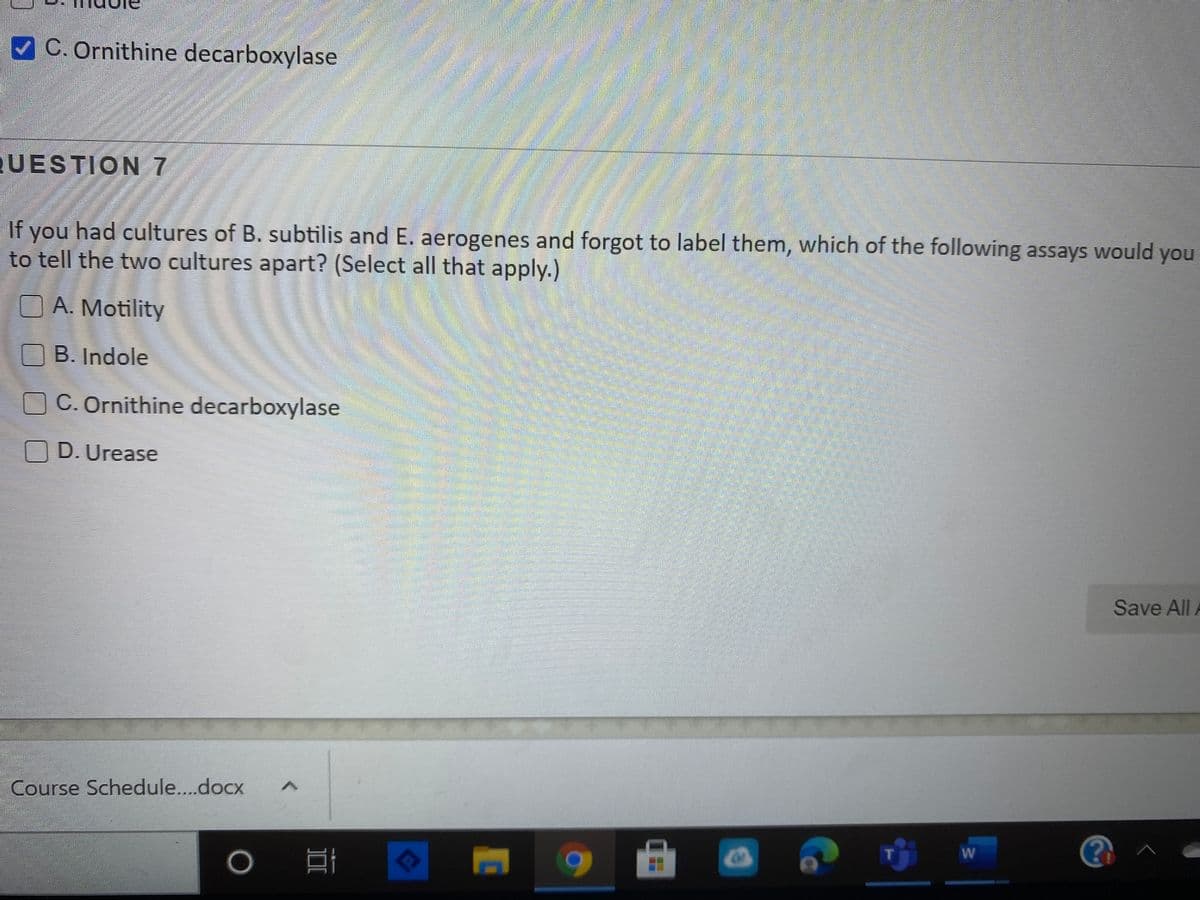 C. Ornithine decarboxylase
UESTION7
If you had cultures of B. subtilis and E. aerogenes and forgot to label them, which of the following assays would you
to tell the two cultures apart? (Select all that apply.)
A. Motility
O B. Indole
C.Ornithine decarboxylase
OD. Urease
Save All A
Course Schedule..docx
T
W
