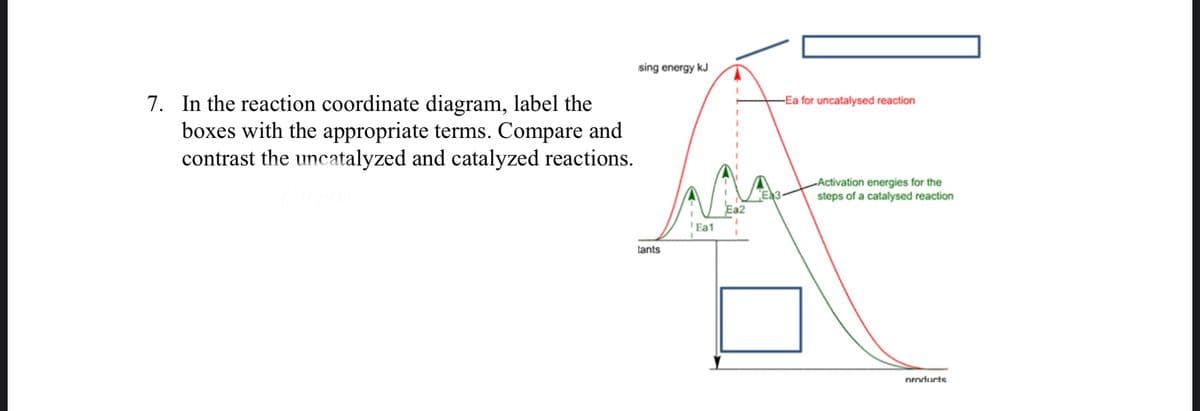 sing energy kJ
7. In the reaction coordinate diagram, label the
boxes with the appropriate terms. Compare and
contrast the uncatalyzed and catalyzed reactions.
-Ea for uncatalysed reaction
-Activation energies for the
steps of a catalysed reaction
Ea3
'Ea1
tants
nroducts
