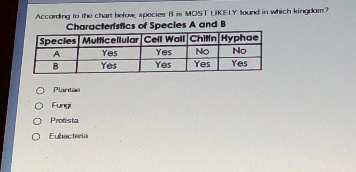 According to the chart below, species B is MOST LIKELY found in which kingdorn?
Characteristics of Species A and B
Specles Multticellular Cell Wall Chitin Hyphae
No
A
Yes
Yes
No
Yes
Yes
Yes
Yes
O Plantae
O Fungi
O Protista
Eubacteria

