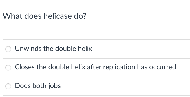 What does helicase do?
Unwinds the double helix
Closes the double helix after replication has occurred
Does both jobs
