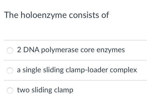 The holoenzyme consists of
2 DNA polymerase core enzymes
single sliding clamp-loader complex
two sliding clamp
